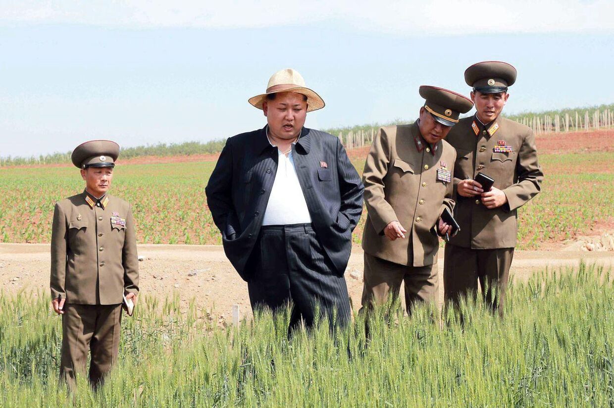 Kim Jong-Un er ifølge en tidligere kok særdeles glad for champagne og sushi.