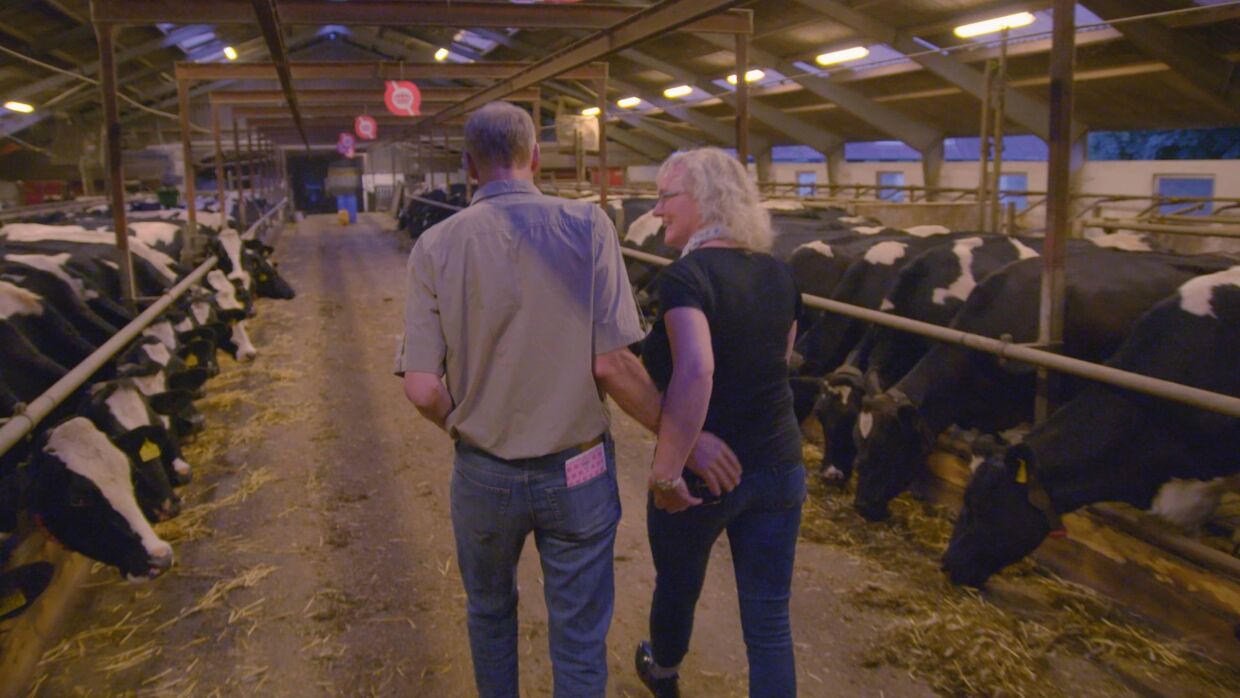 Her ses Susanne Antoni Nielsen sammen med landmanden Ole Andersen i hans stald i Kolding, da alt var fryd og gammen, inden hun valgte at trække sig fra sæson 2 af programmet 'Landmand søger kærlighed'. 