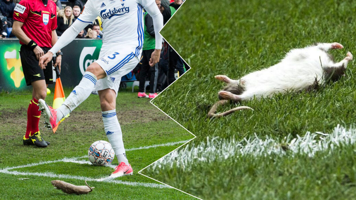 Brøndby-sportsdirektør ærgrer sig over, at der blev kastet med døde rotter under mandagens derby.