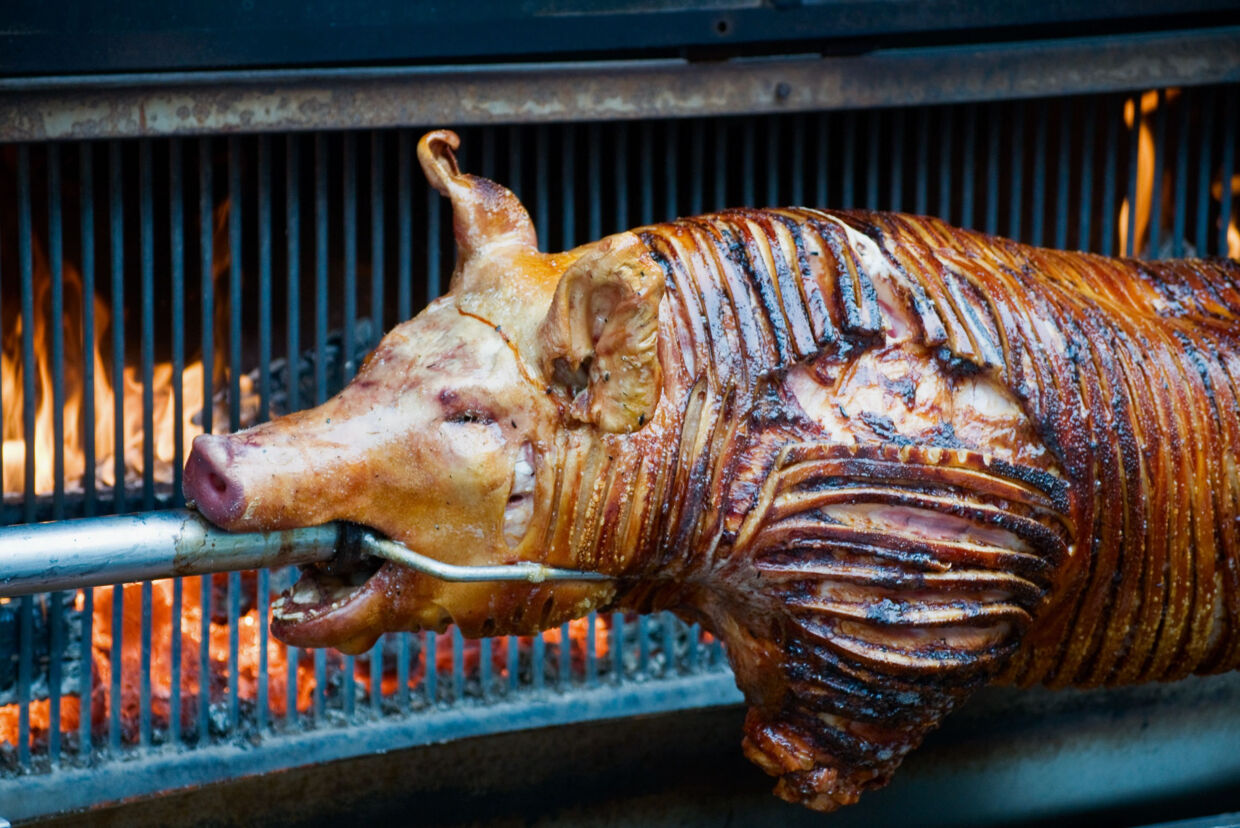 Barbecued suckling pig cut to plant
