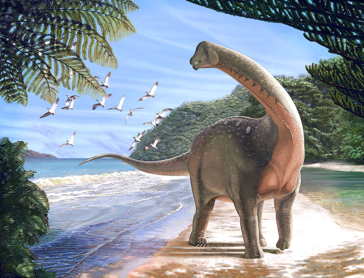 Sådan forestiller man sig, at den afrikanske dinosaur så ud for 80 mio. år siden.&nbsp;