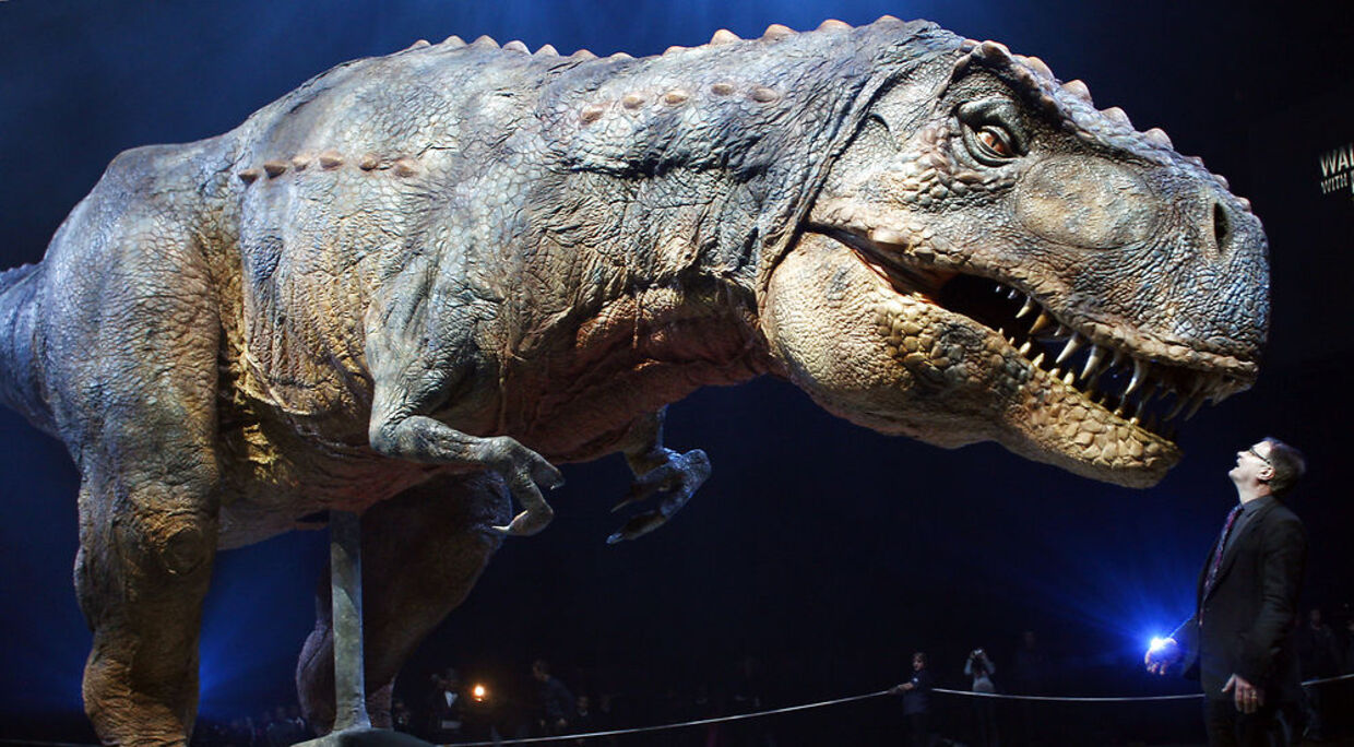 Sådan mener man, at den frygtede Tyrannosaurus Rex så ud.