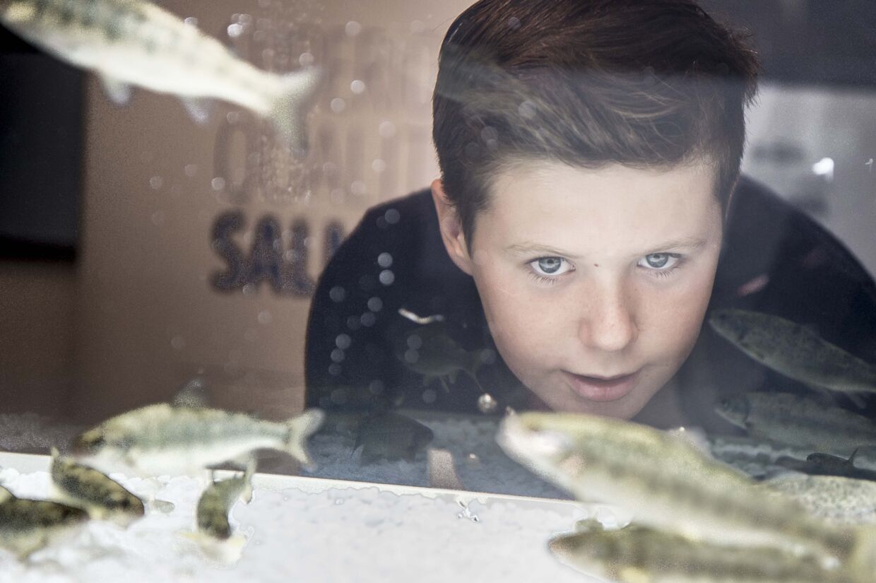 Prins Christian ser på fisk ved Bakkafrost.