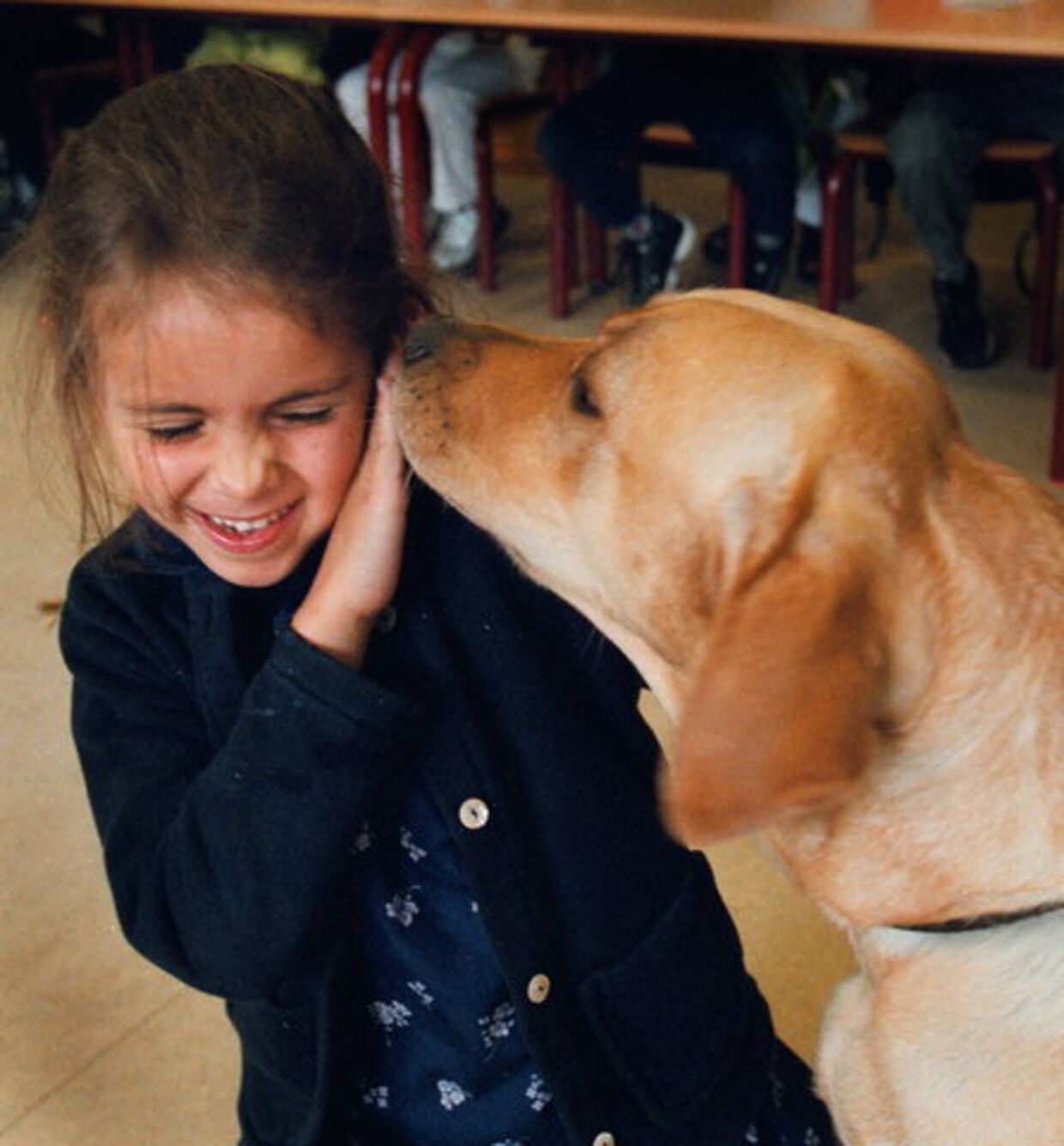 Det går oftest ud over de mindste, når børn bliver bidt af hunde. Foto: Mogens Ladegaard