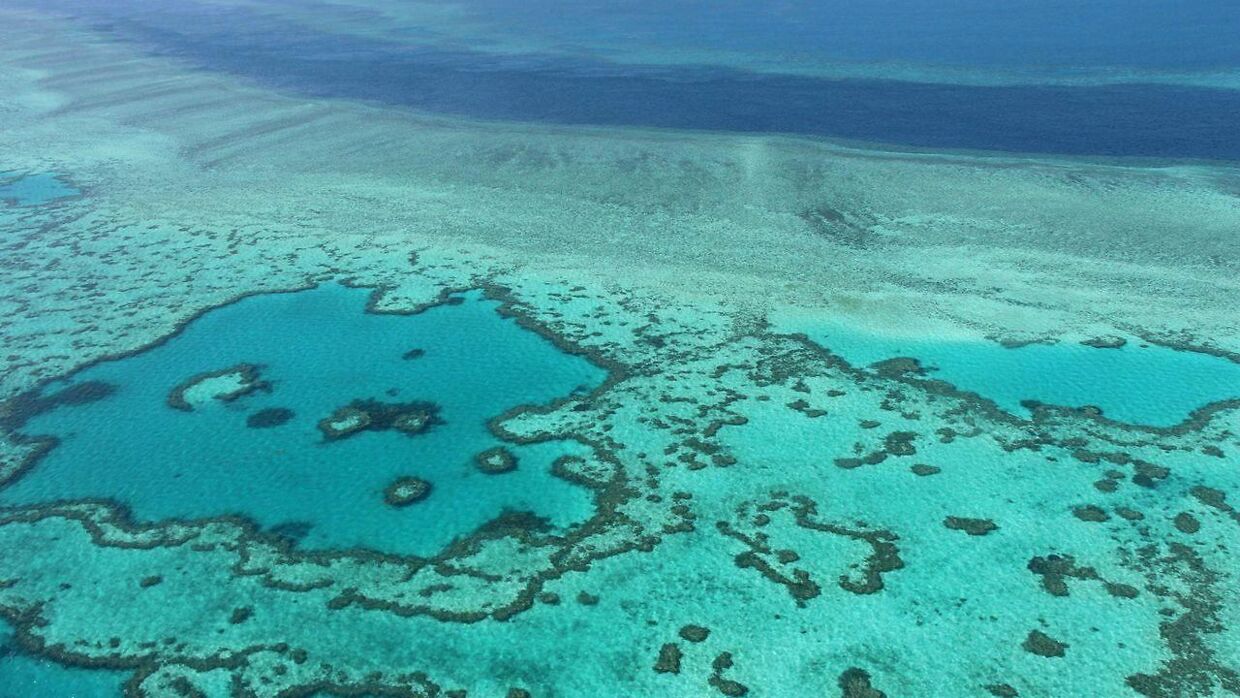 Arkivfoto fra Great Barrier Reef ved Australiens kyst 2017.