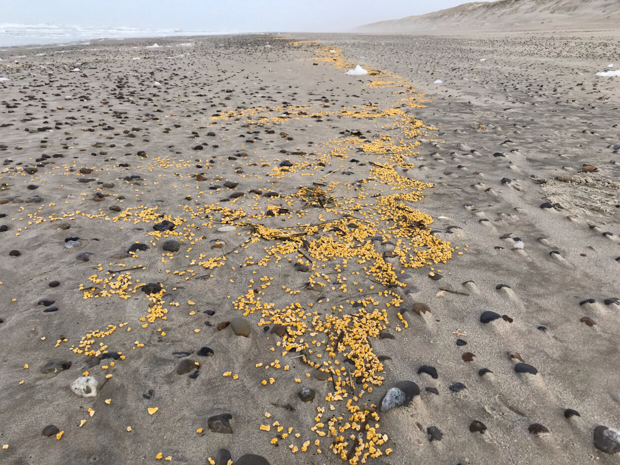 Små, gule klumper af paraffin med et ukendt kemikale er skyllet op på vestkysten.