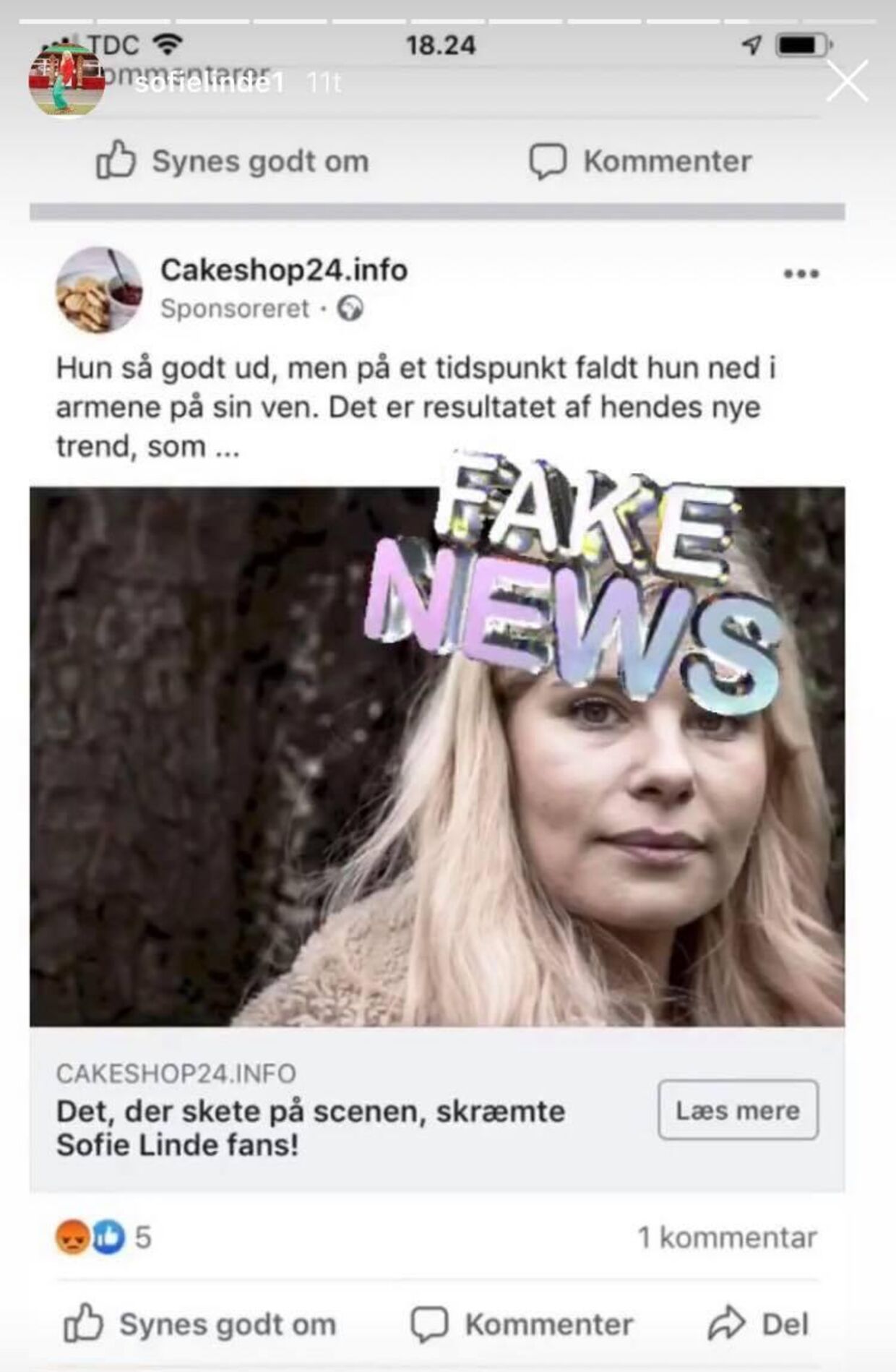 (Arkiv) Et screenshot af Sofie Lindes Instagram, hvor hun advarede mod fake news.