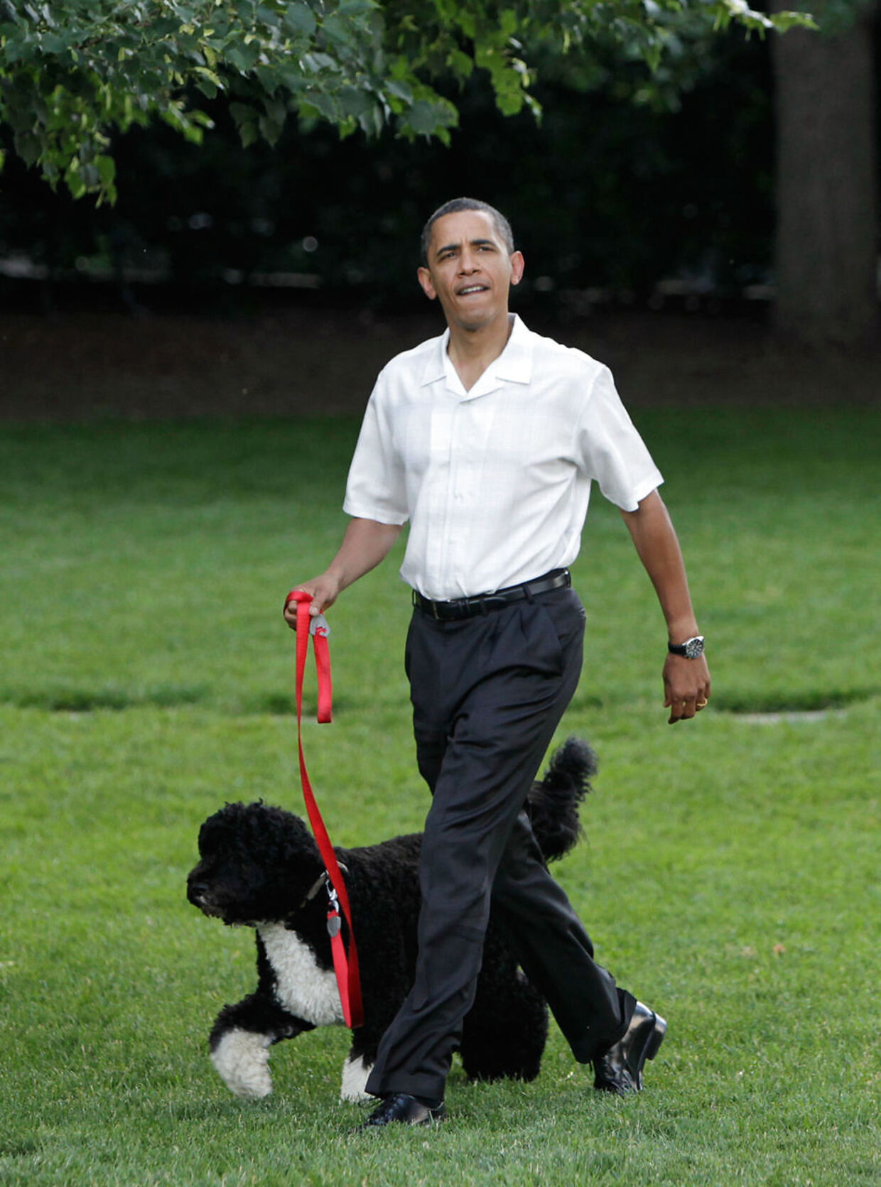 US President Barack Obama walks the first family's dog as he arrives at the Congressional Picnic on the South Lawn of the White House in Washington, DC June 8, 2010. AFP PHOTO / YURI GRIPAS