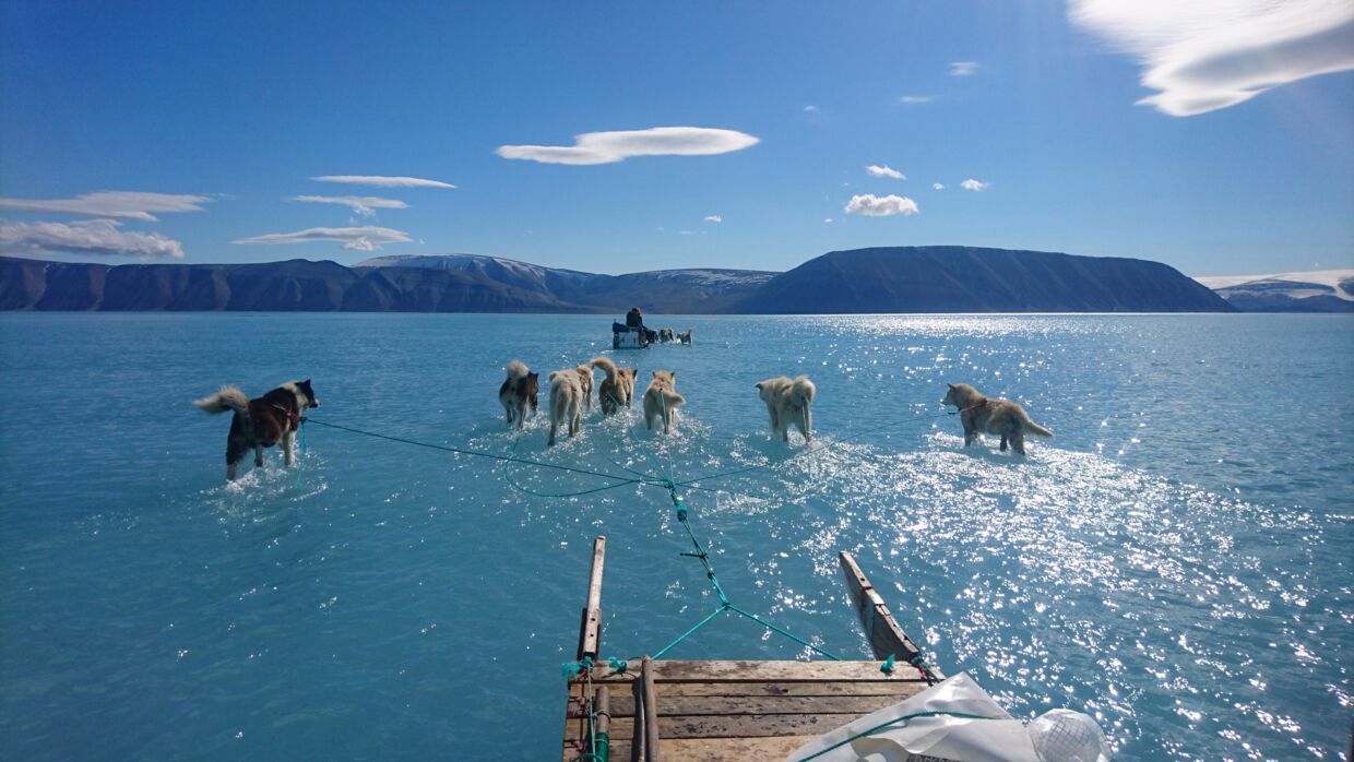 Mens klimaforskeren Steffen Malskær Olsen var på opgave for DMI's Center for Ocean og Is, kørte han ind i problemer ved Inglefield Bredning i det nordvestlige Grønland. Isen, som han og slædehundene skulle over, var fuldstændigt oversvømmet af smeltevand. Fænomenet er dog ikke et bevis på klimaforandringer.