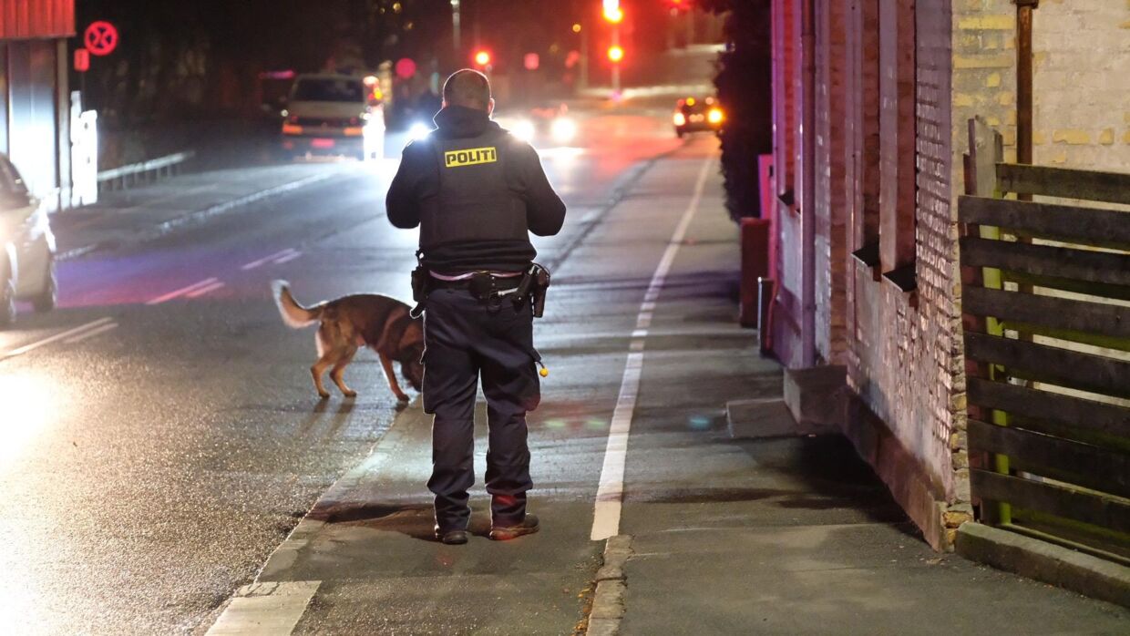 Sydsjælland og Lolland Falsters Politi er til stede med hunde.