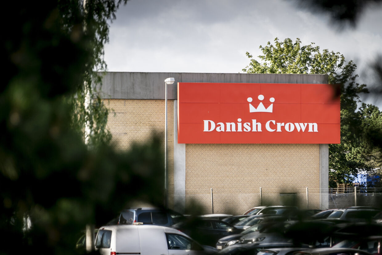 Flere af Danish Crowns slagterier har været ramt af coronaudbrud, og det har betydet, at eksporten til Kina er faldet. (Arkivfoto) Mads Claus Rasmussen/Ritzau Scanpix