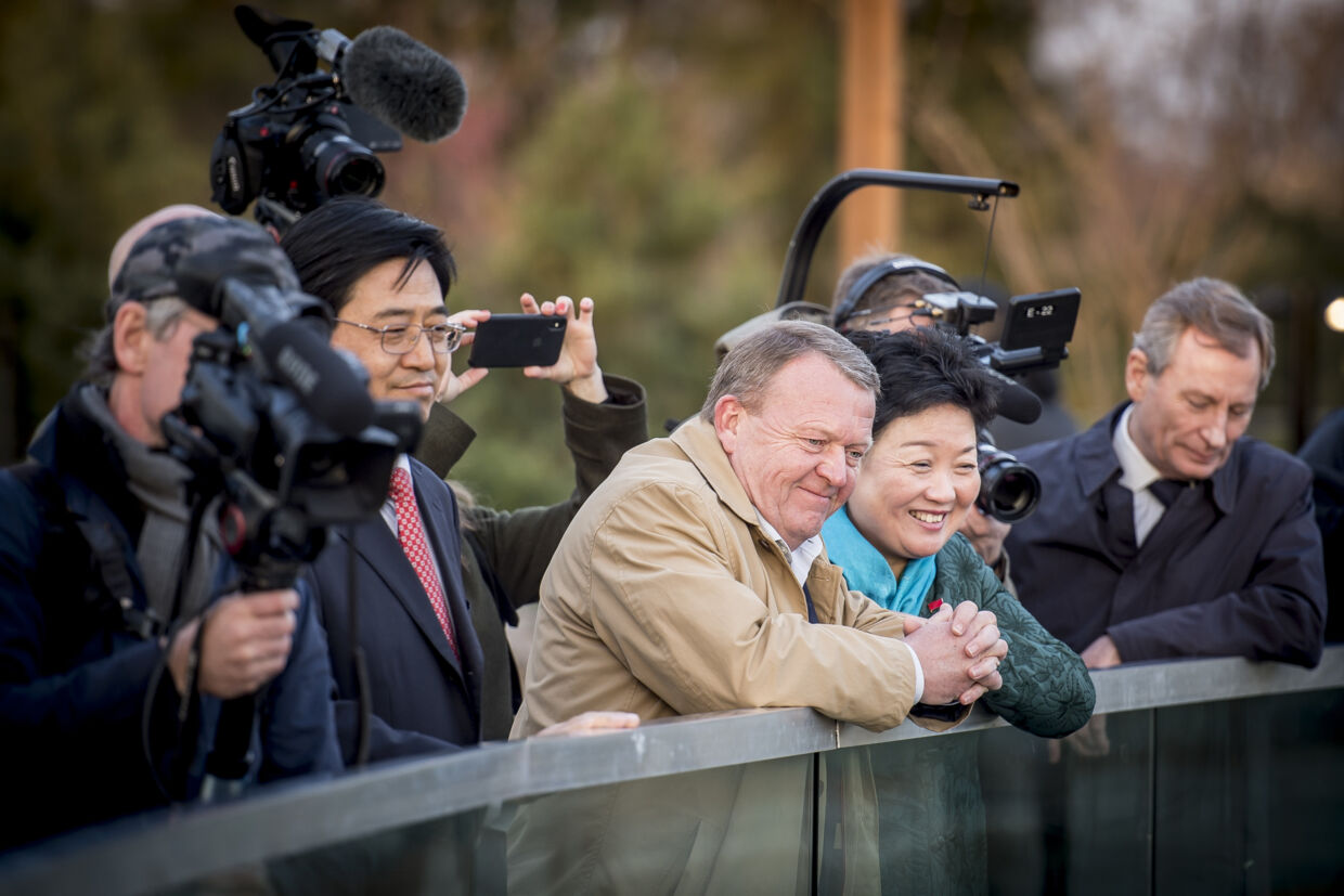 Daværende statsminister Lars Løkke Rasmussen og Kinas ambassadør i Danmark Ms. Deng Ying var i Københavns ZOO i april 2019, da et anlæg med pandaer var kommet på plads. (Arkivfoto) Mads Claus Rasmussen/Ritzau Scanpix