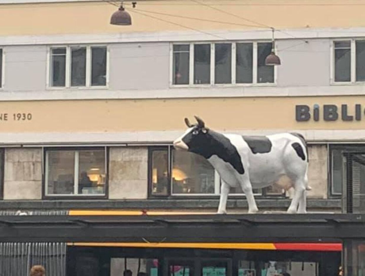 Koen står på Christianshavns Torv. Foto: Chanell Nielsen. 