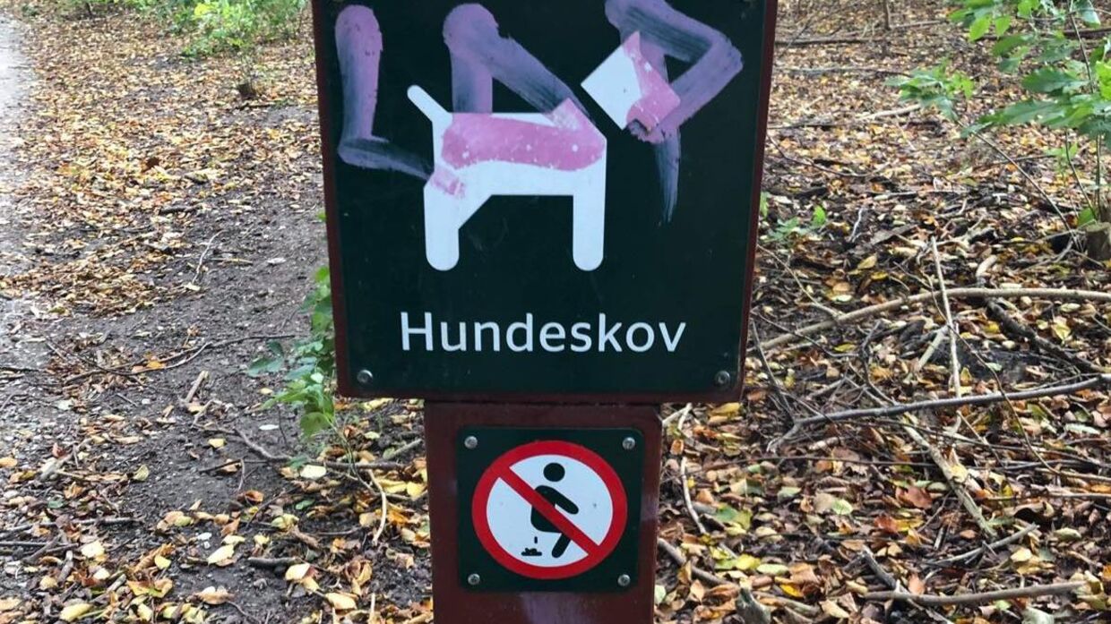 Ironisk nok er det ikke hundene, der opfordres til at stoppe med at skide i skoven.