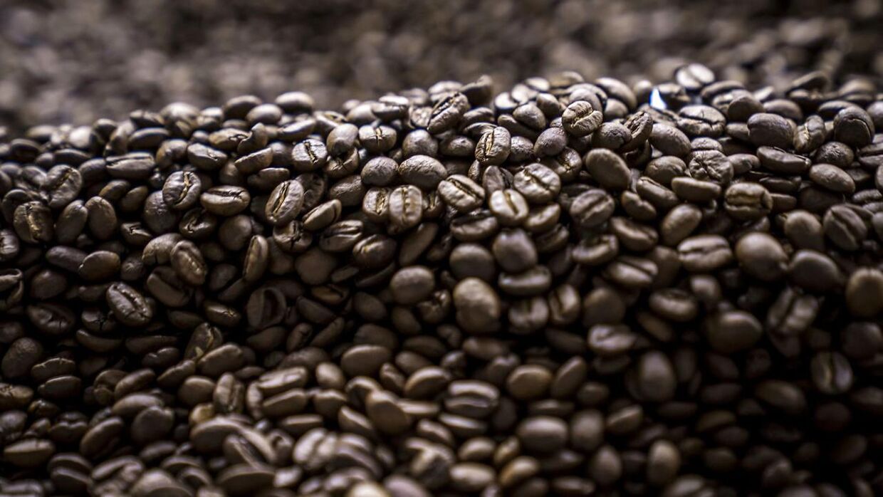 Arkivfoto: Kaffebønner. Kaffe. Kafferistning. Kafferisteri.