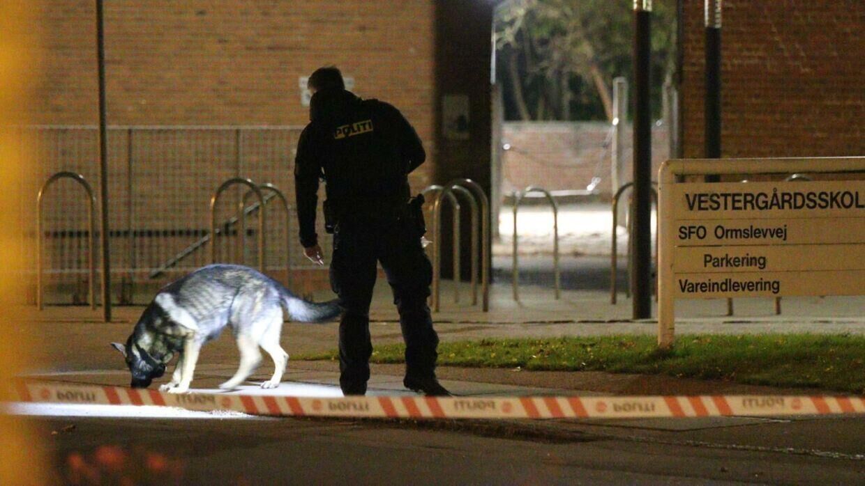 Politiet til stede med hunde på gerningsstedet.