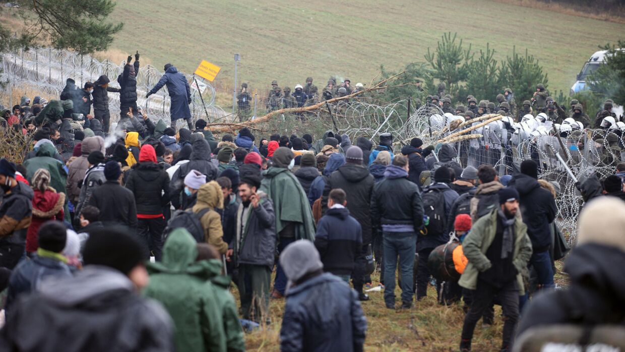Omkring 1.000 migranter befinder sig lige nu ved grænsen mellem Polen og Hviderusland.