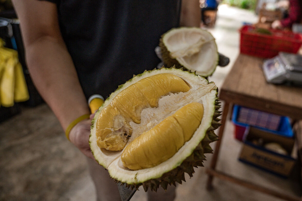 A worker shows a variety of durian called "Musang King" at a shop in Kuala Lumpur on July 8, 2020. Mohd RASFAN / AFP
