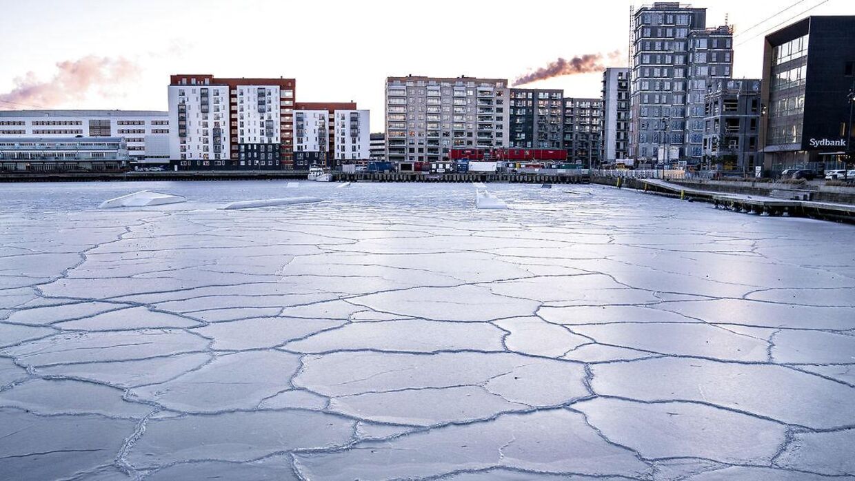 Limfjorden kan blive isende kold henover vinteren.