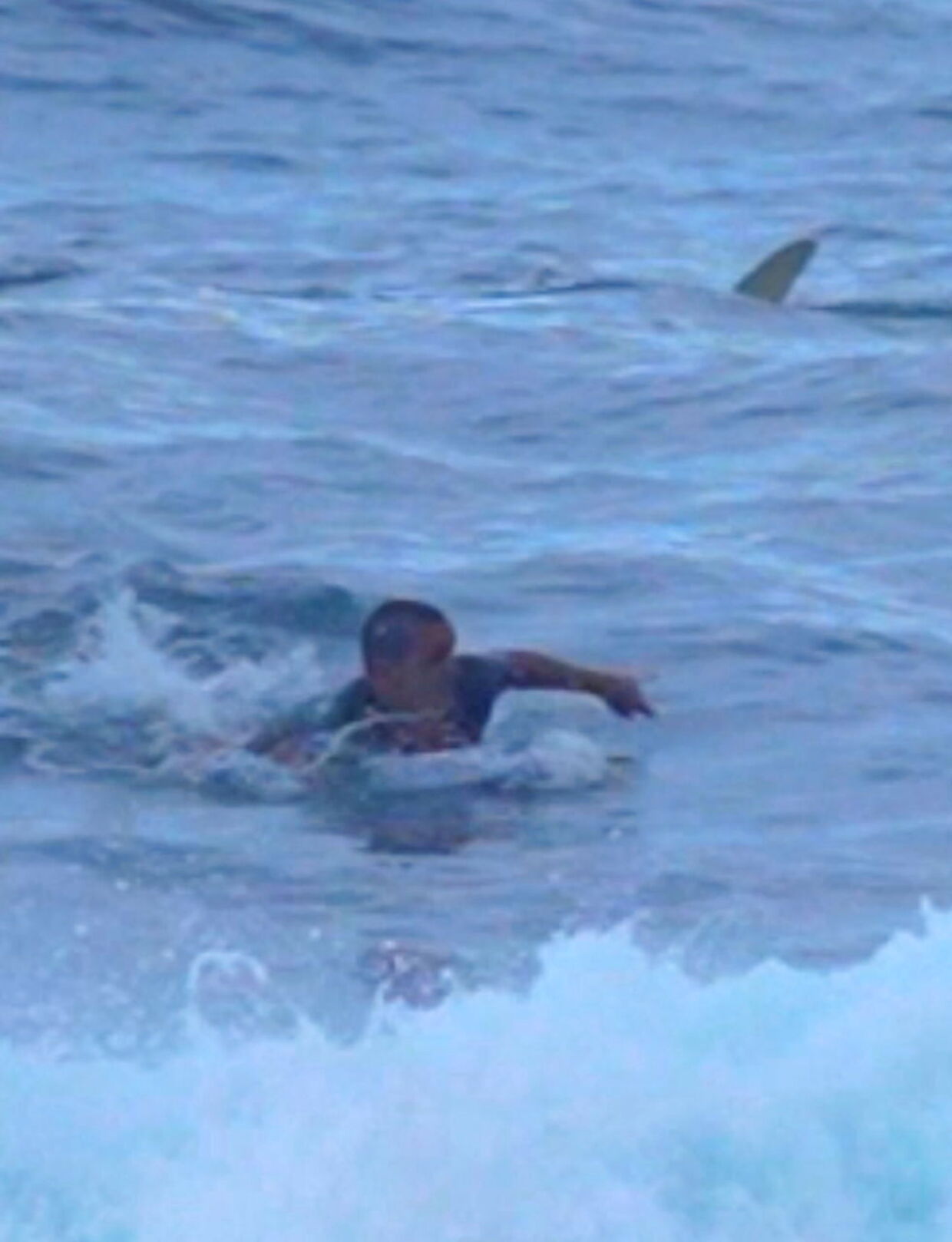 Surferen flygter fra hajen ud for Middles Beach, Puerto Rico. den 29. november 2021.