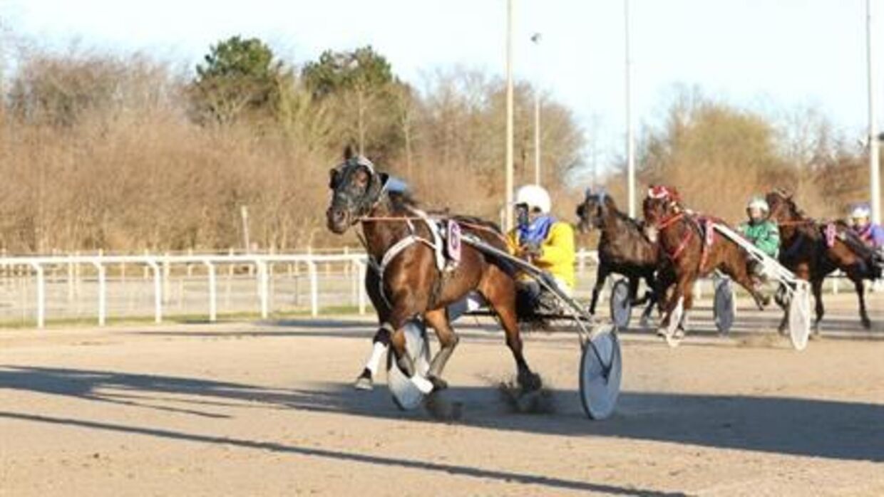 94 heste var til start ved juletrav på Racing Arena Aalborg.
