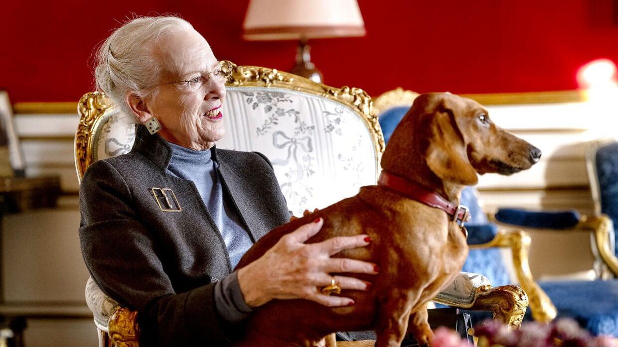 Dronning Margrethe er meget glad for sin gravhund, der dog måtte vige fra en af de kongelige stole for at gøre plads til statsministeren. 