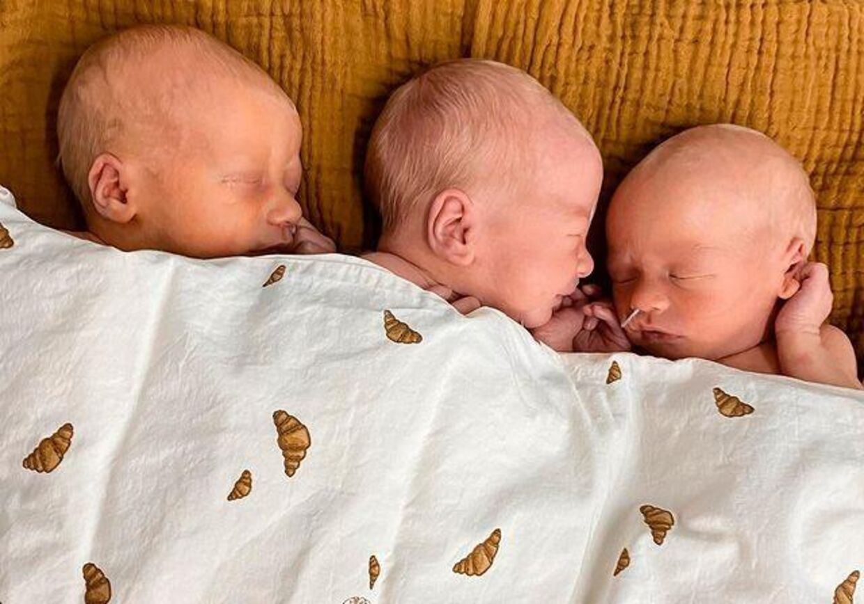 Charles, Theodore og Gabriel skal de tre guldklumper hedde, som blev født den 14. januar