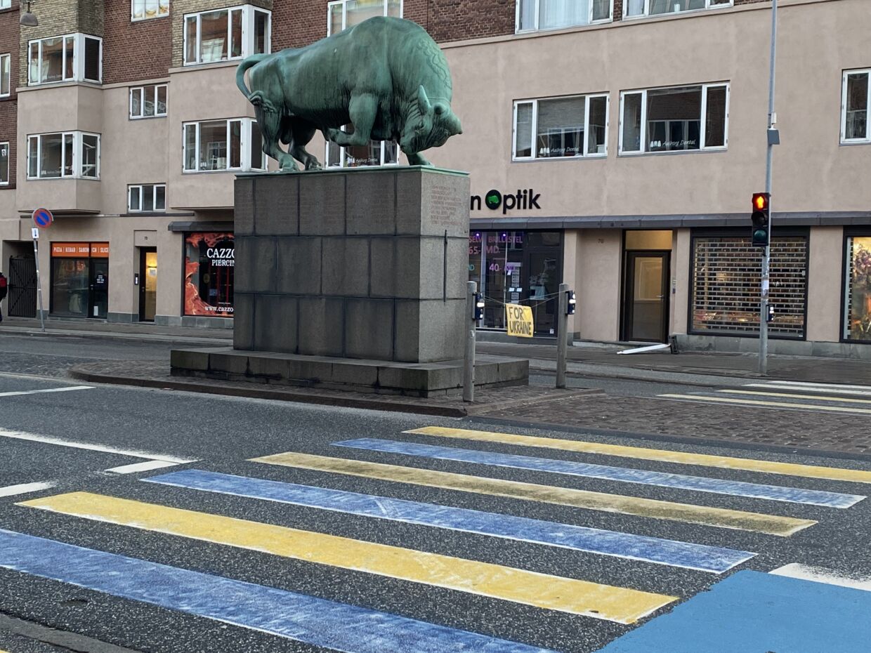 Ved tyren i Aalborg centrum har man malet et fodgængerfelt blåt og gult. Foto: Rebecca Haugaard Christensen