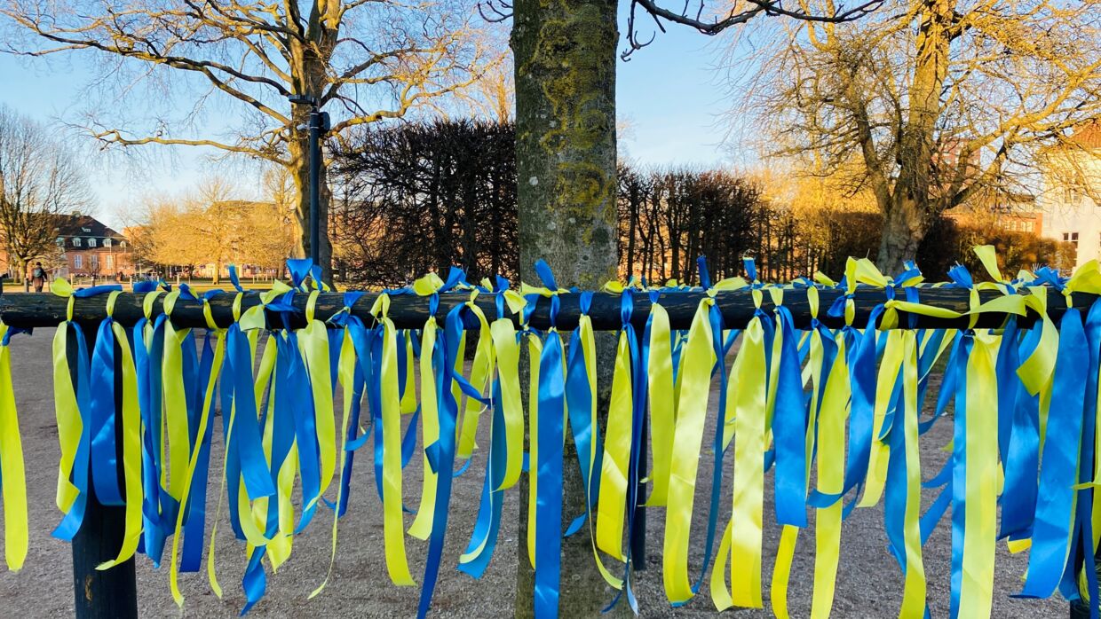 Bånd i det ukrainske flags farver blafrer i vinden i Kongens Have i Odense.