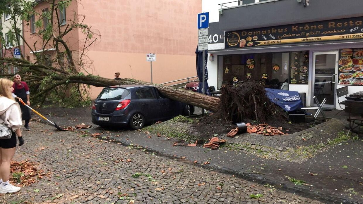 Den voldsomme vind har væltet et tre ned over en bil i den tyske by Paderborn.