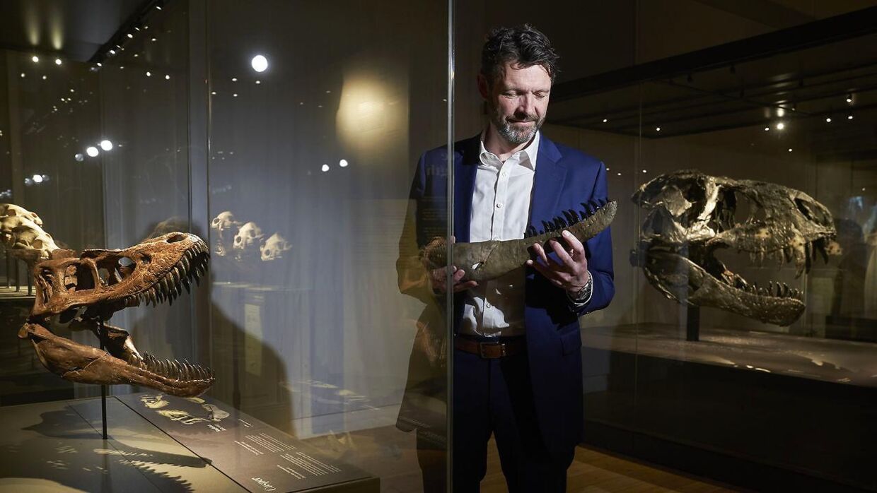 Naturhistorisk Museum Museumsdirektør Peter C. Kjærgaard.