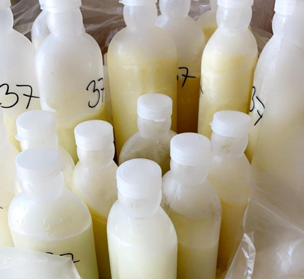 Her et billede af Sofies mange mælkeflasker