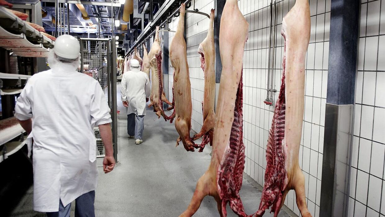 Tican i Thisted er ejet af den tyske slagterikoncern Tönnies, der sidste år omsatte for mere end 46 milliarder kroner. Arkivfoto.