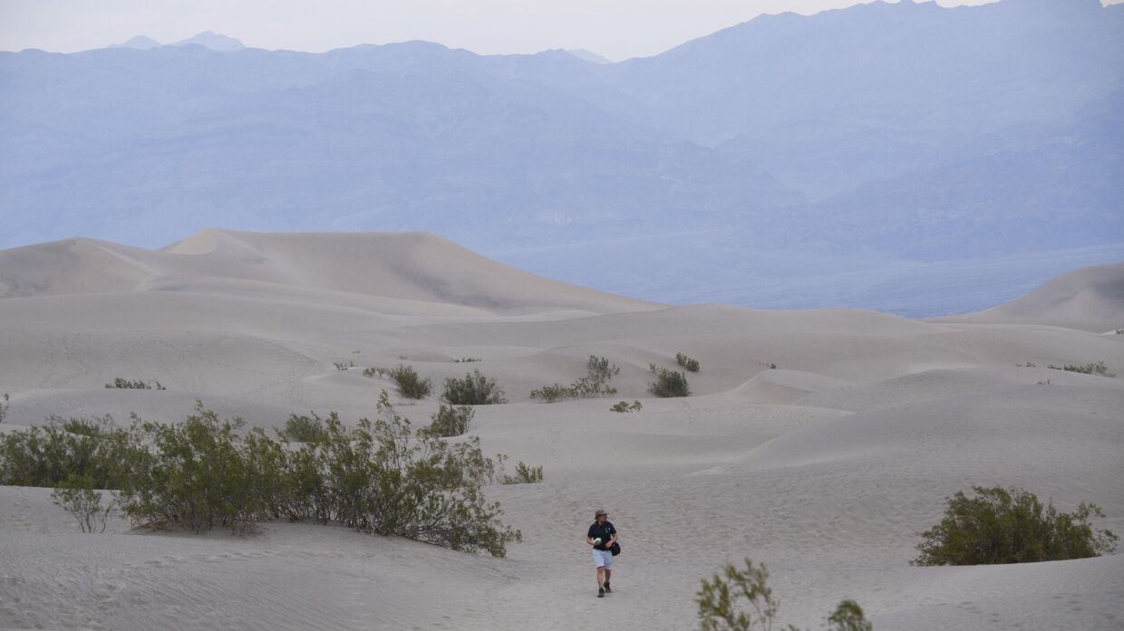Et billede fra Death Valley National Park, hvor en person går rundt i varmen. Foto: Patrick T. Fallon/AFP/Ritzau Scanpix
