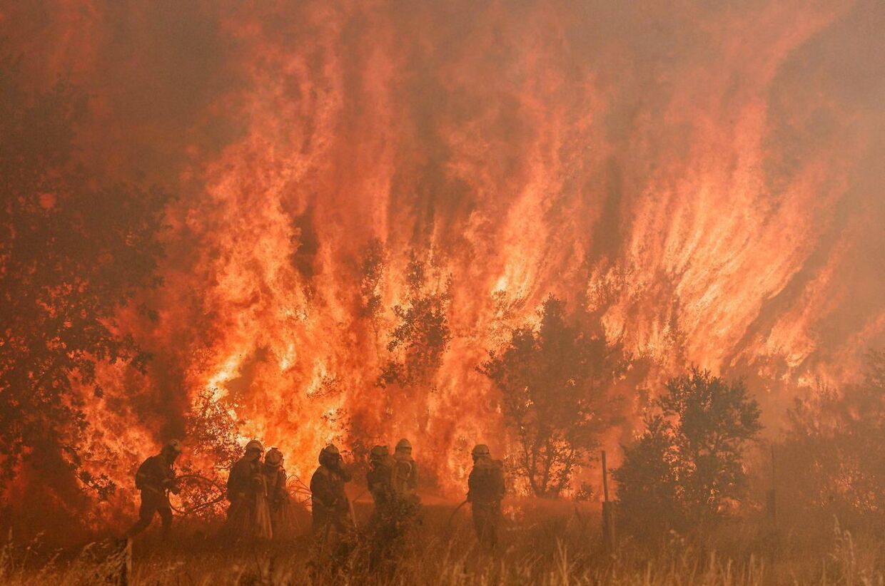 Brandmænd kæmper for at slukke en enorm naturbrand i det nordlige spanien, hvor temperaturen nåede 43 grader. Foto: Cesar Manso/AFP/Ritzau Scanpix