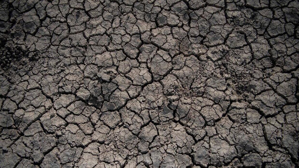 This photograph shows a detail of the cracked ground at the Donana Natural Park in Ayamonte, Huelva, on May 19, 2022. - The huge Donana National Park, home to one of Europe's largest wetlands, is threatened by intensive farming. Water supplies to the park have declined dramatically due to climate change and the over-extraction of water by neighbouring strawberry farms, often through illegal wells, scientists say. Huelva, the drought-prone province where the park is located, produces 300, 000 tonnes of strawberries a year, 90 percent of Spain's output. (Photo by JORGE GUERRERO / AFP)
