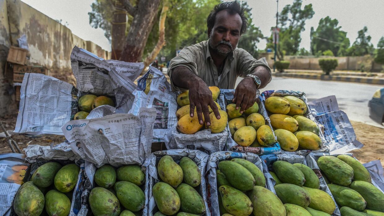 Foto fra 15. juni af en mango-gadesælger fra det sydlige Pakistan.