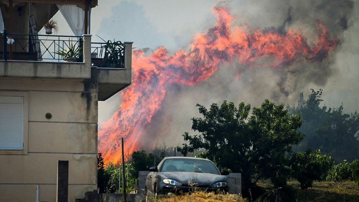 Flammer nær hus i Krestena, 24. juli 2022.