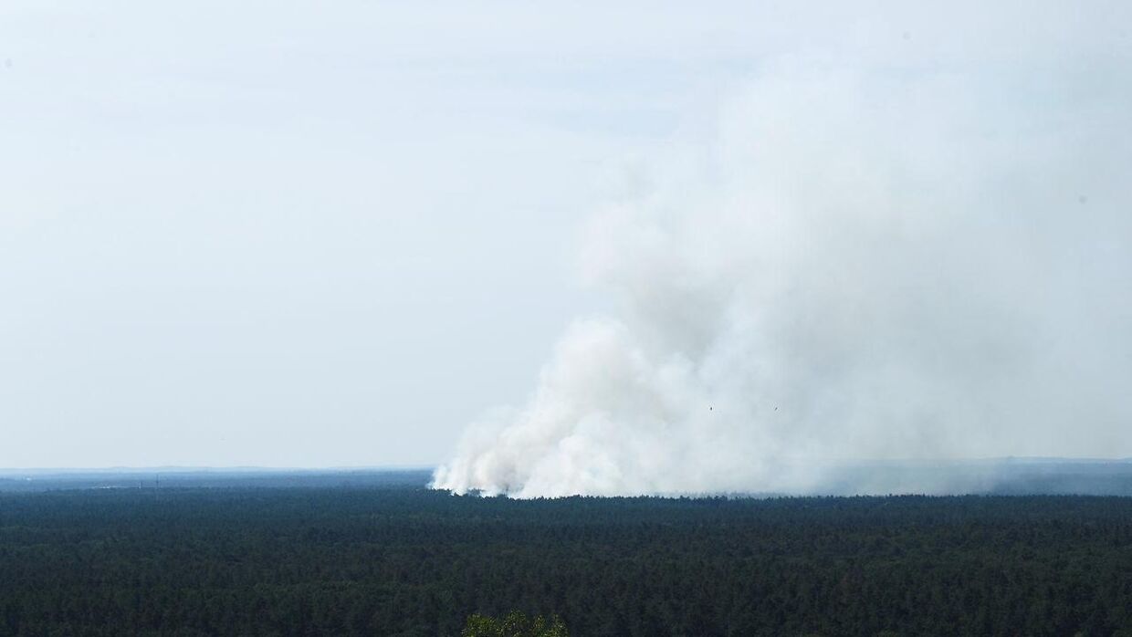Røgen stiger over skoven i Grunewald.
