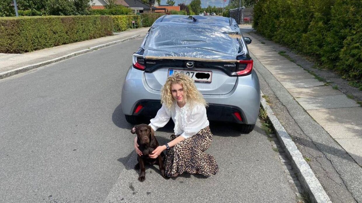 24-årige Annsofhia Hammel og hendes hund, Kalle, sidder her ved siden af bilen, der er ret så skadet. Foto: Privat