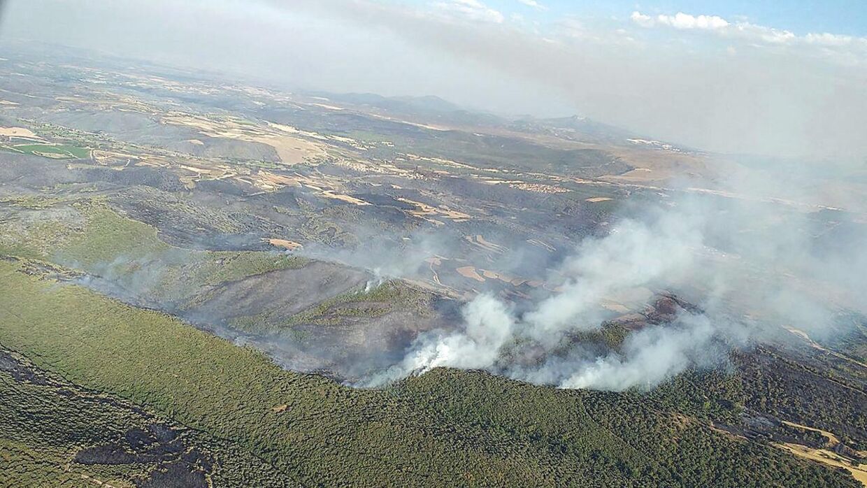 En voldsom skovbrand hærger lige nu i Zaragoza-provinsen i det nordøstlige Spanien.