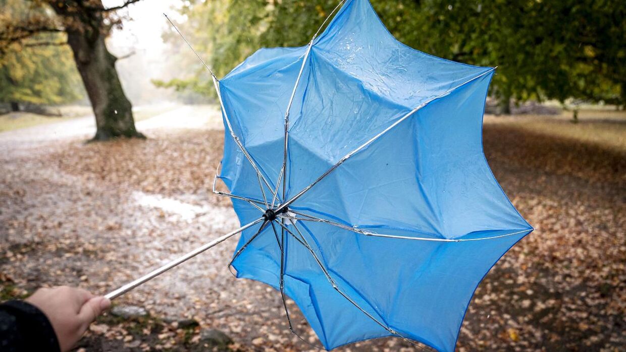 Det ser ikke ud til, at danskerne får brug for paraply og regntøj de næste par uger.