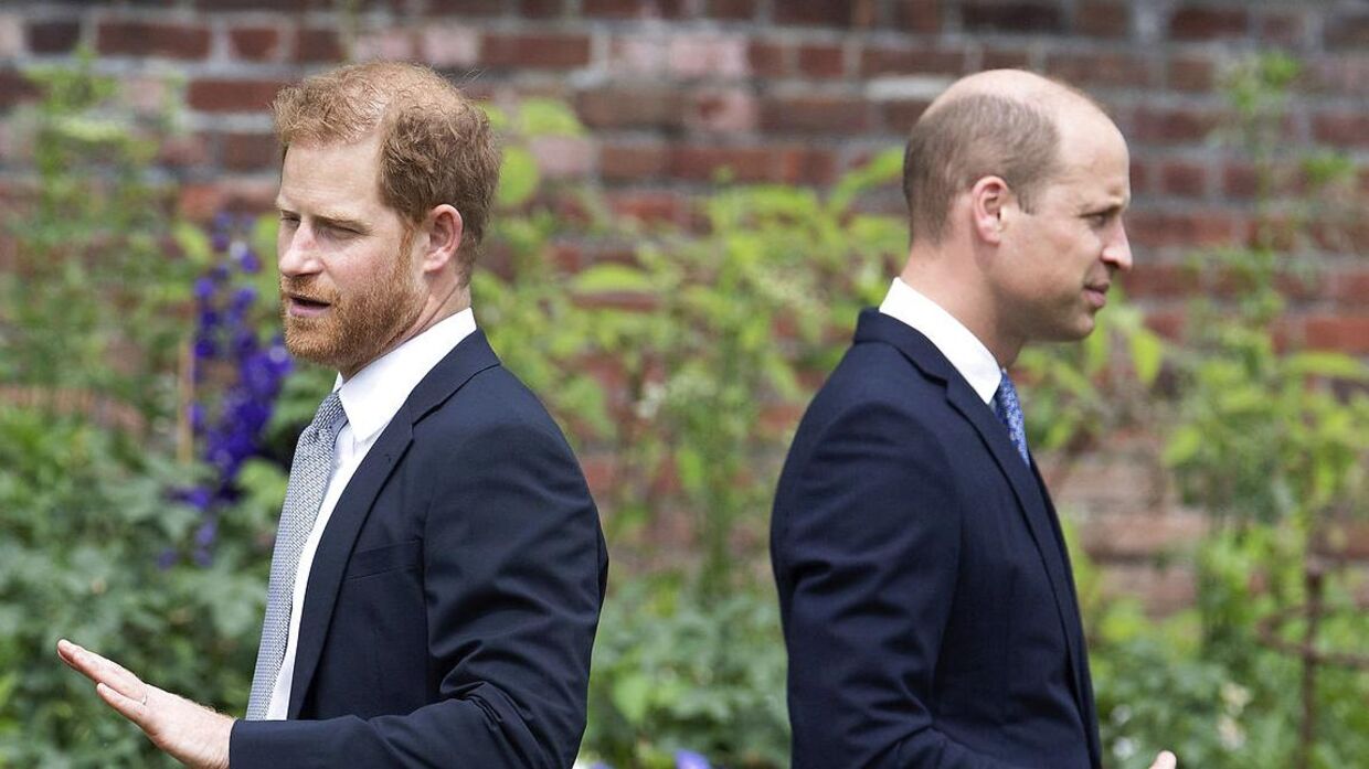 Prins William og prins Harry var heller ikke helt enige sidste år, men mødte alligevel op sammen til en afsløring af en ny statue af deres mor. 