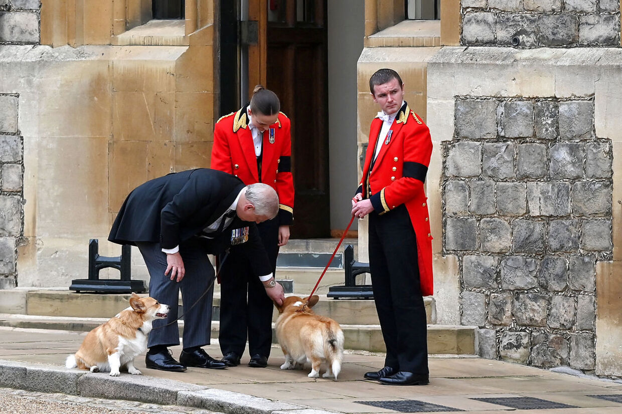 Prins Andrew hilser på Muick og Sandy inden dronning Elizabeths begravelse mandag.