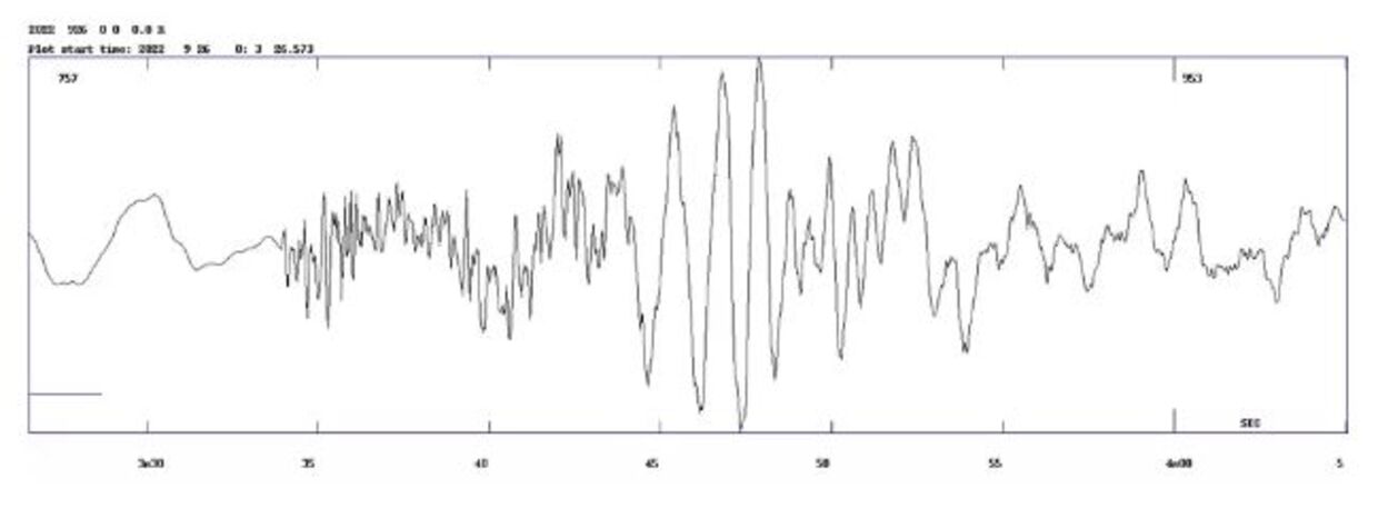 Signalerne fra hændelsen kl. 2.03 registreret på en af seismograferne på Bornholm. Figur: GEUS