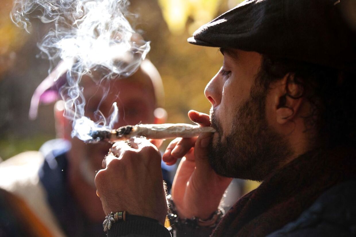 En mand ryger pot i Trinity Bellwoods Park i Toronto, Ontario, Canada.