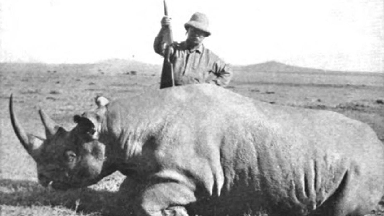 Den tidligere præsident i USA Theodore Roosevelt med det næsehorn, han nedlagde i 1911.