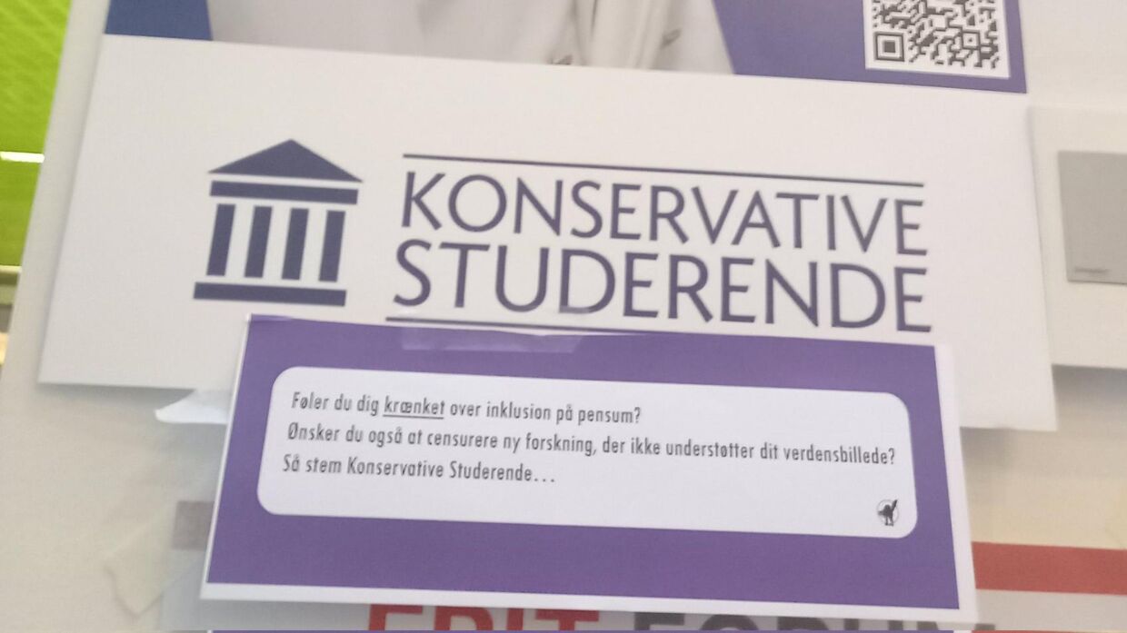 Karoline Haarder havde tænkt sig at genbruge sine plakater til næste år, men med politiske budskaber klistret på sine valgplakater, røg den plan i skuffen.