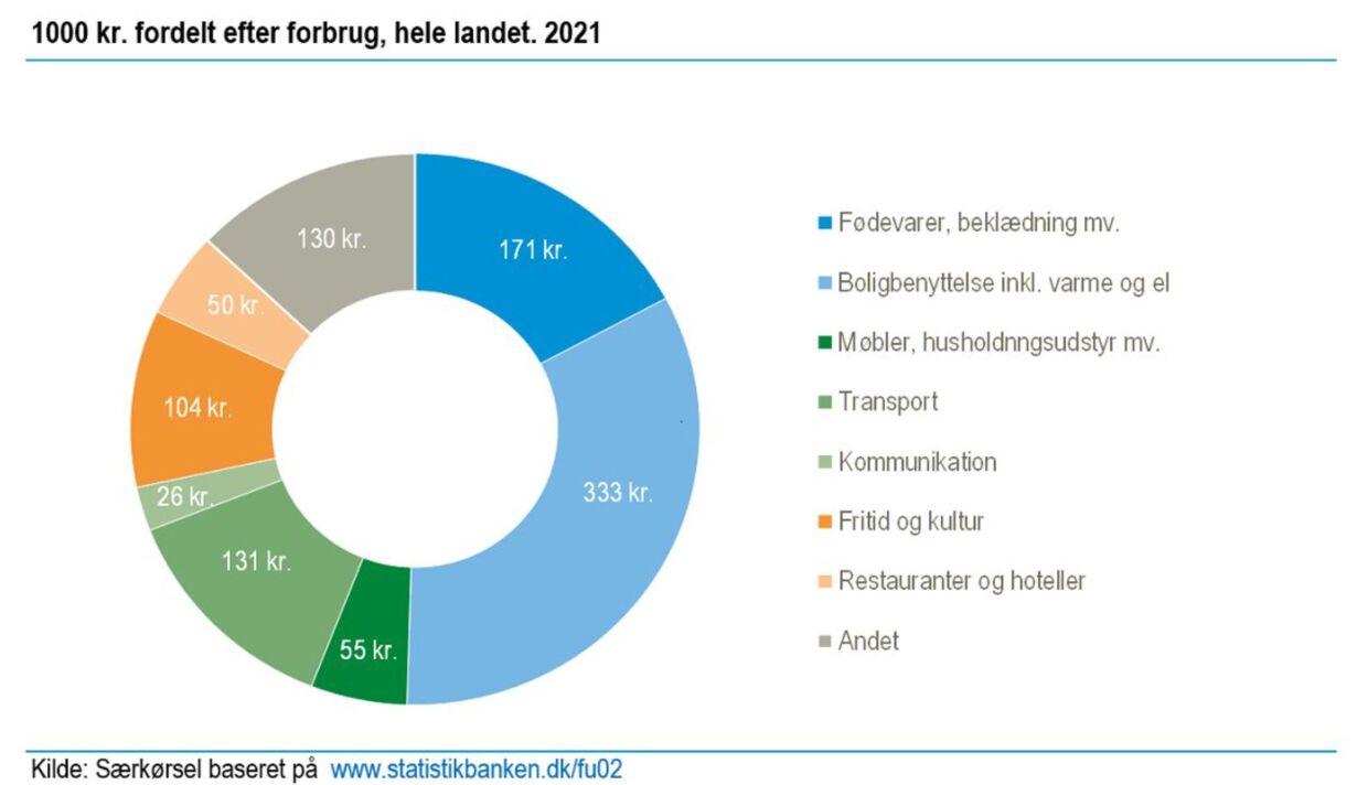 Her er en danskers forbrug i 2021 set i cirkeldiagram.