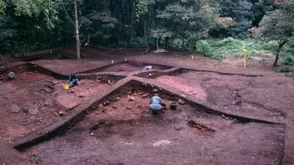 Forskere arbejder ved en udgravning i Heath Woods.